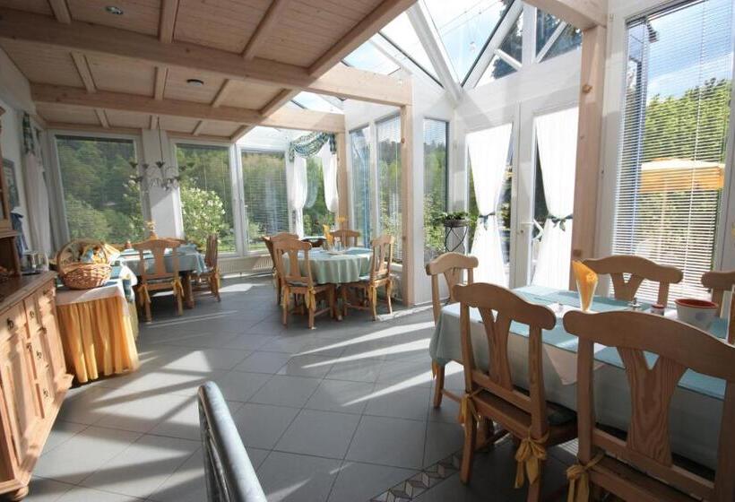 Номер Стандарт с Террасой, Pension Liesbachtal Direkt Am Waldrand Bayerische Rhön