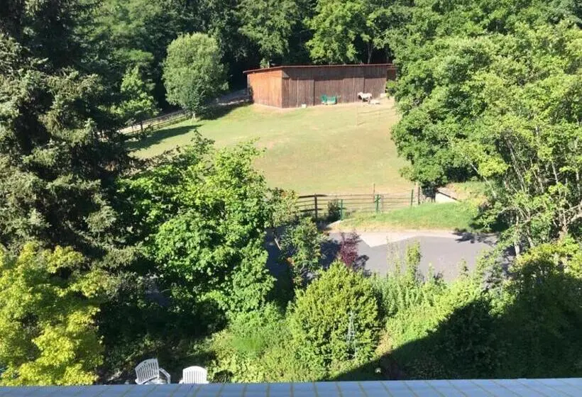 ２ベッドルームアパートメント, Pension Liesbachtal Direkt Am Waldrand Bayerische Rhön