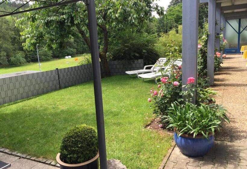 Номер Стандарт с Террасой, Pension Liesbachtal Direkt Am Waldrand Bayerische Rhön