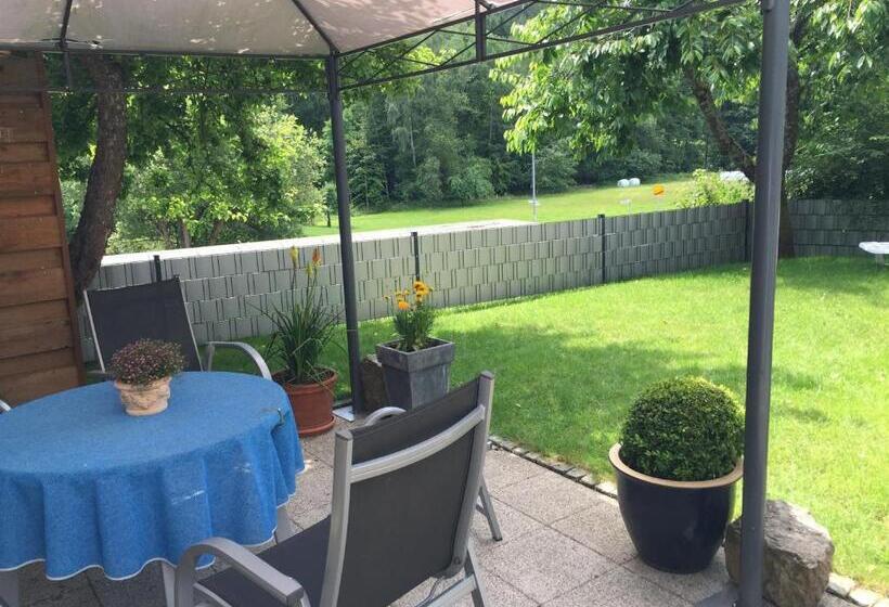 Номер Стандарт с Террасой, Pension Liesbachtal Direkt Am Waldrand Bayerische Rhön