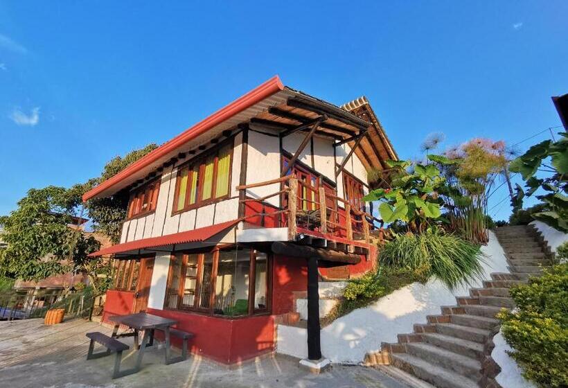 标准间带阳台, Coffee Tree Boutique Hostel