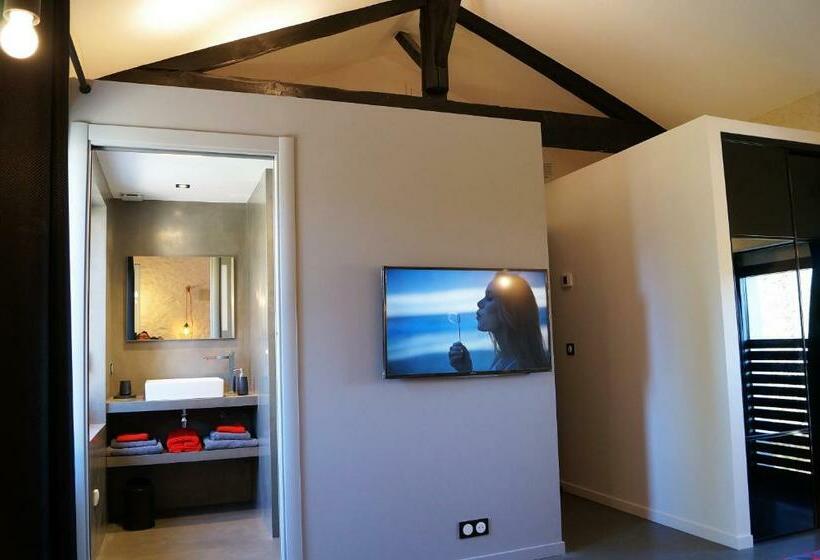 غرفة قياسية مطلّة علي الحديقة, Le Mas De Colongene