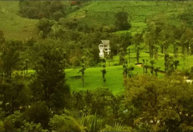 Chambre Executive, Gokulam Park Munnar