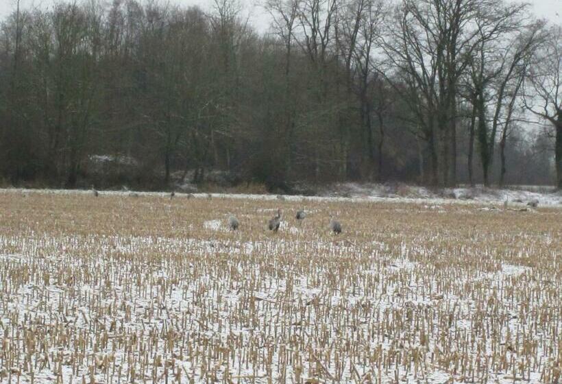 适合残疾人使用的标准间, La Fuste Des Garceaux
