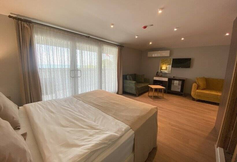 스탠다드 룸, Alarga Premier Otel