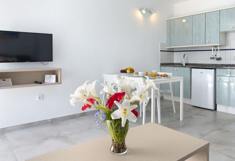 شقة غرفة واحدة, Apartamentos Livvo Oasis