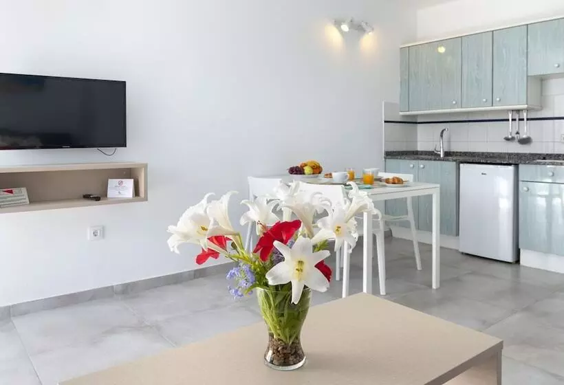 آپارتمان 1 خوابه, Apartamentos LIVVO Oasis