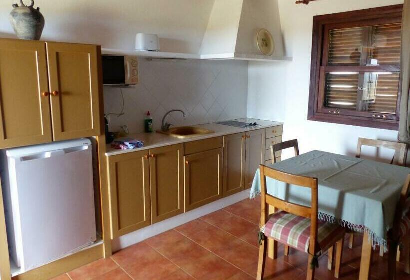 标准平房, Agroturismo Son Triay