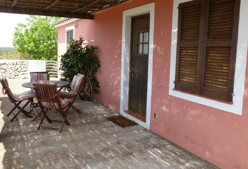 标准平房, Agroturismo Son Triay