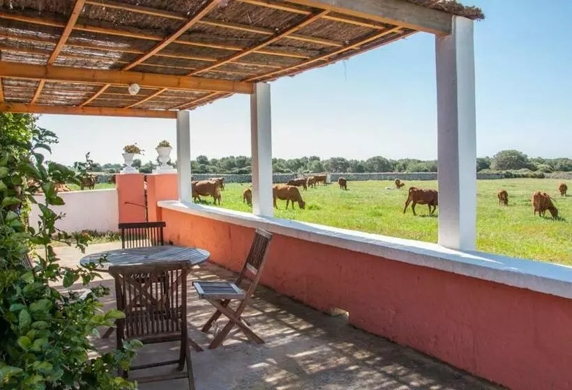 １ベッドルームのスーペリアアパートメント, Hospedium Agroturismo Son Triay