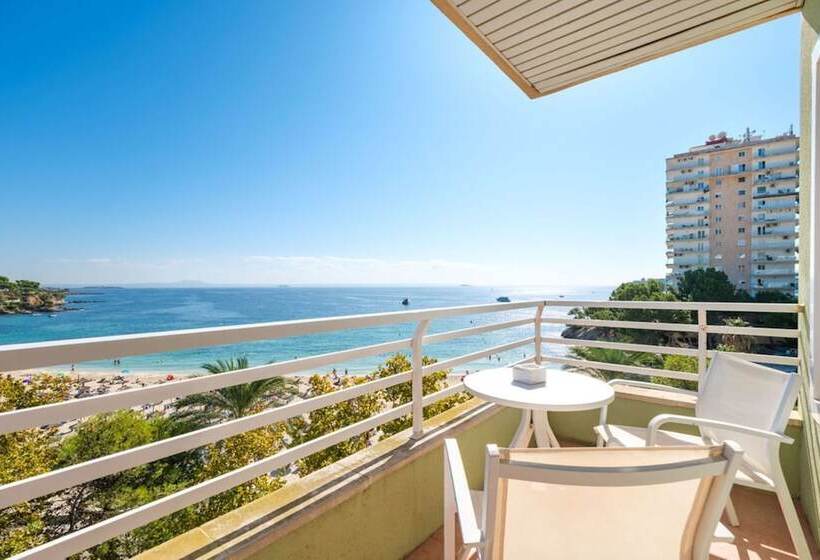 سوییت سوپریور با چشم‌انداز دریا, Agua Beach  Adults Only