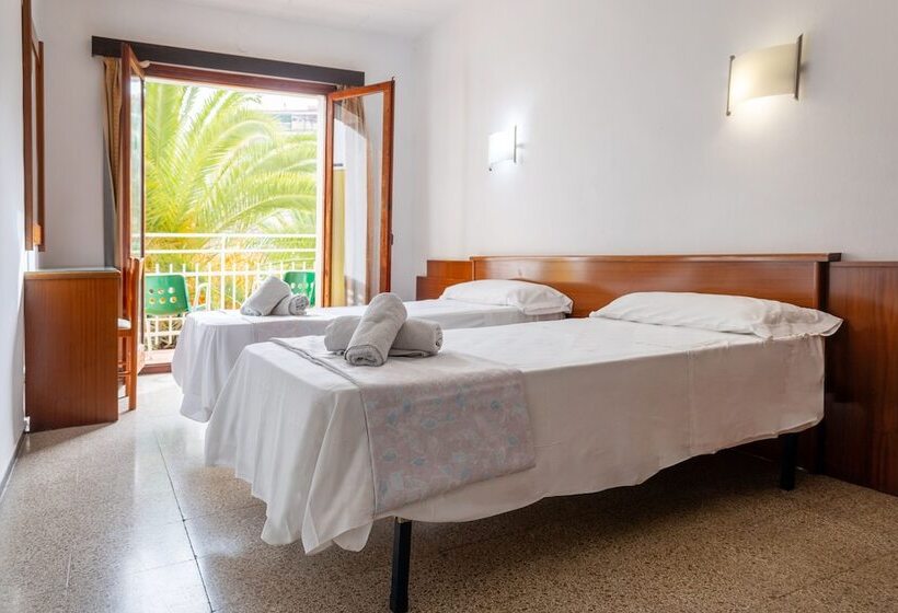 חדר סטנדרט, Clipper Affiliated By Fergus Youth Recommended