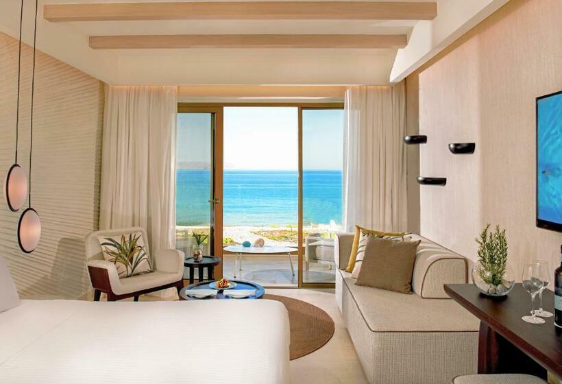 适合残疾人士使用的高档房间, Mitsis Rinela