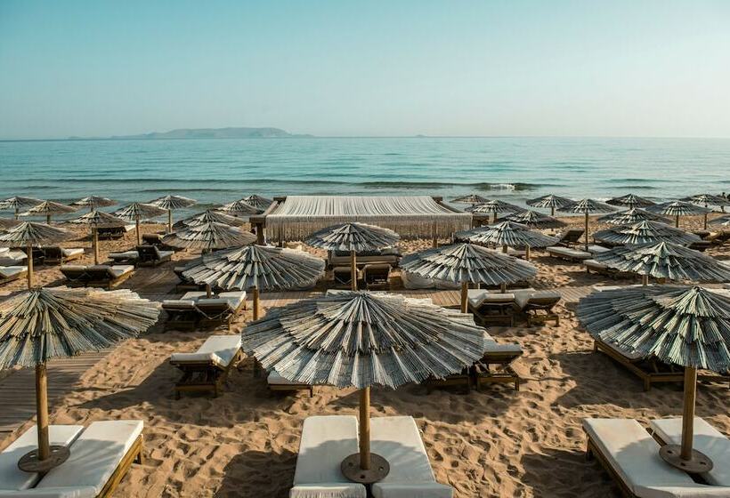 适合残疾人士使用的高档房间, Mitsis Rinela