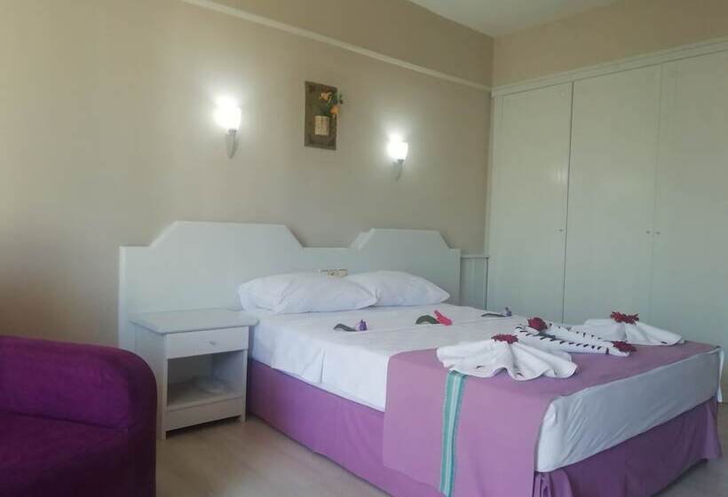 חדר סטנדרט, Aegean Park