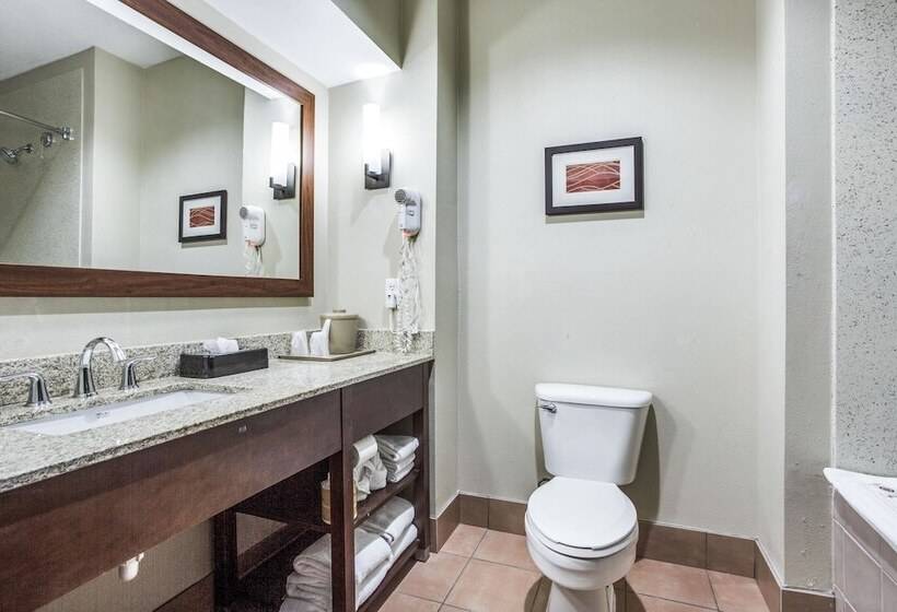 Номер Стандарт 2 Двуспальные Кровати, Comfort Inn & Suites Love Field Dallas Market Center