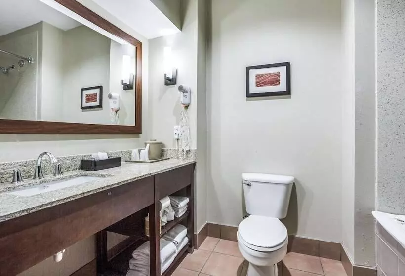 ２ダブルベッドのスタンダードルーム, Comfort Inn & Suites Love Field Dallas Market Center