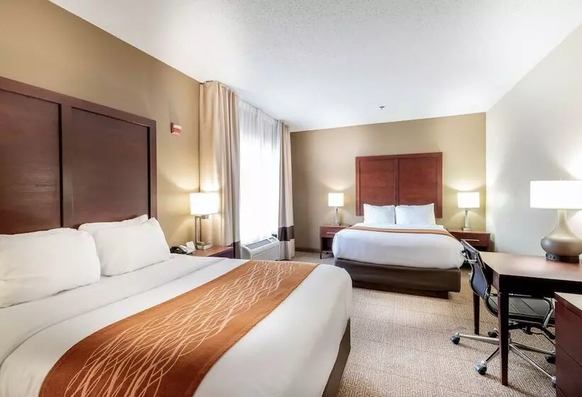 Standard Room 2 Double Beds