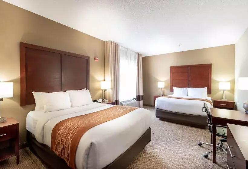２ダブルベッドのスタンダードルーム, Comfort Inn & Suites Love Field Dallas Market Center