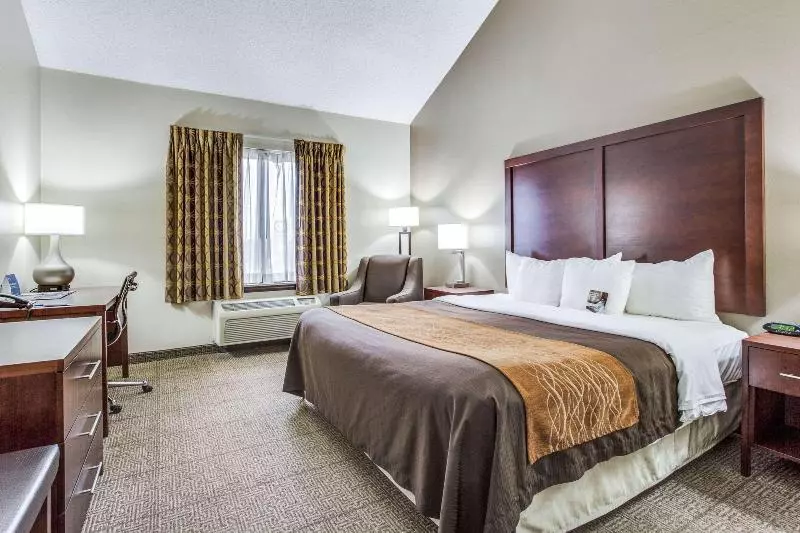 Standard Room King Size Bed