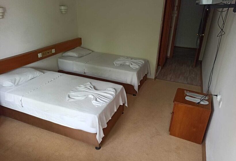 غرفة قياسية, Dias