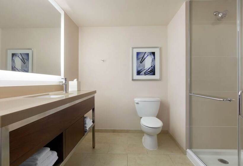 豪华房间, Hilton New York Times Square