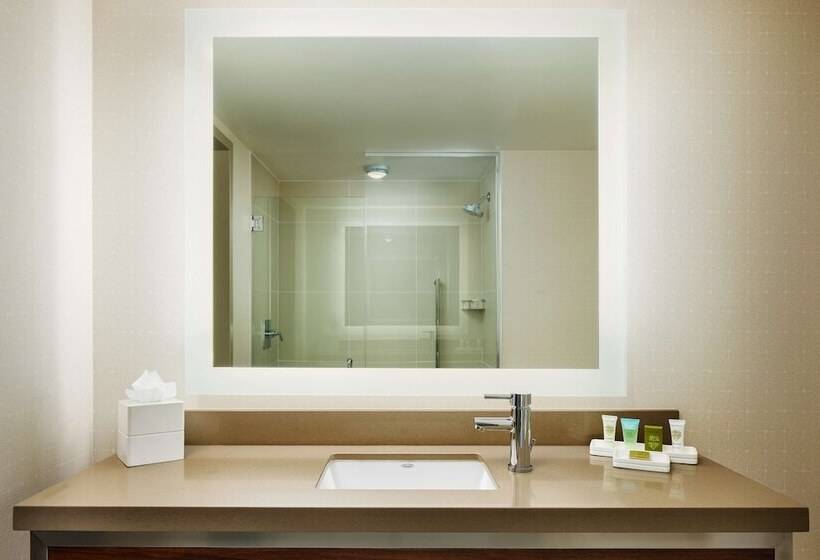 اتاق لوکس, Hilton New York Times Square