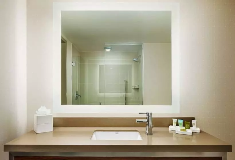 اتاق لوکس, Hilton New York Times Square