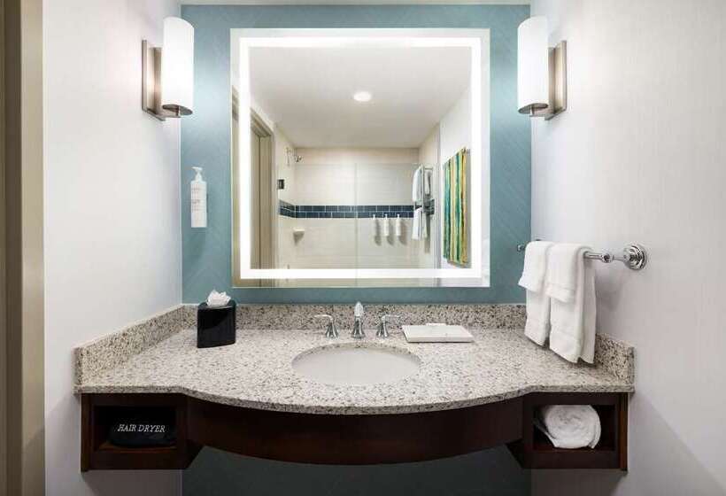 带城市景观的标准间, Hilton New York Times Square