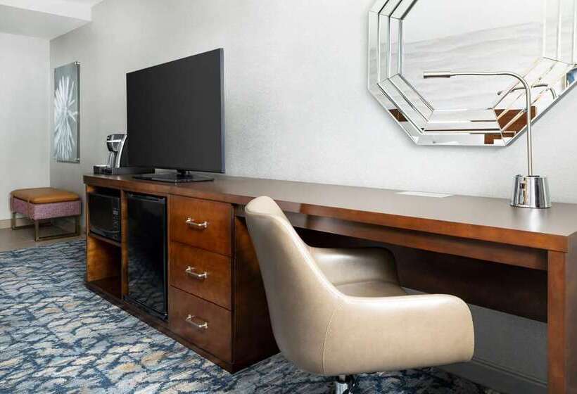 带城市景观的标准间, Hilton New York Times Square