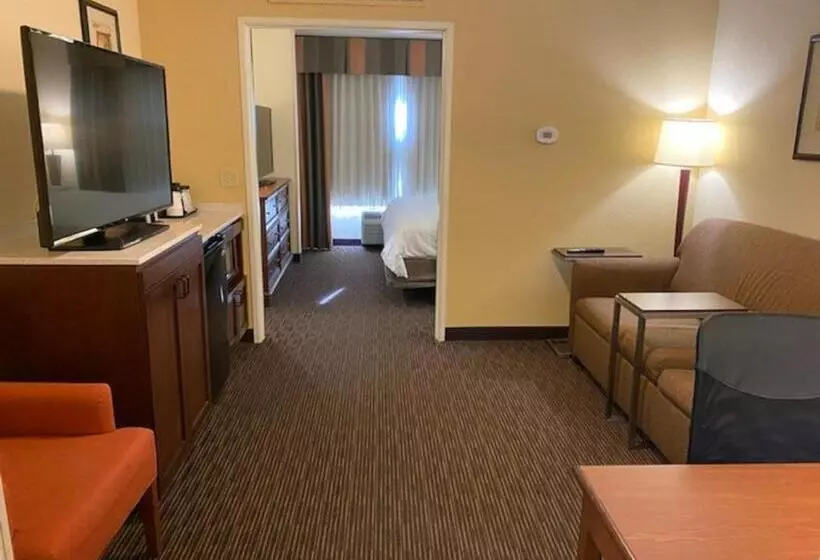 سوئیت با تخت بزرگ, Holiday Inn Express Hotel & Suites Scottsdale   Old Town, An Ihg