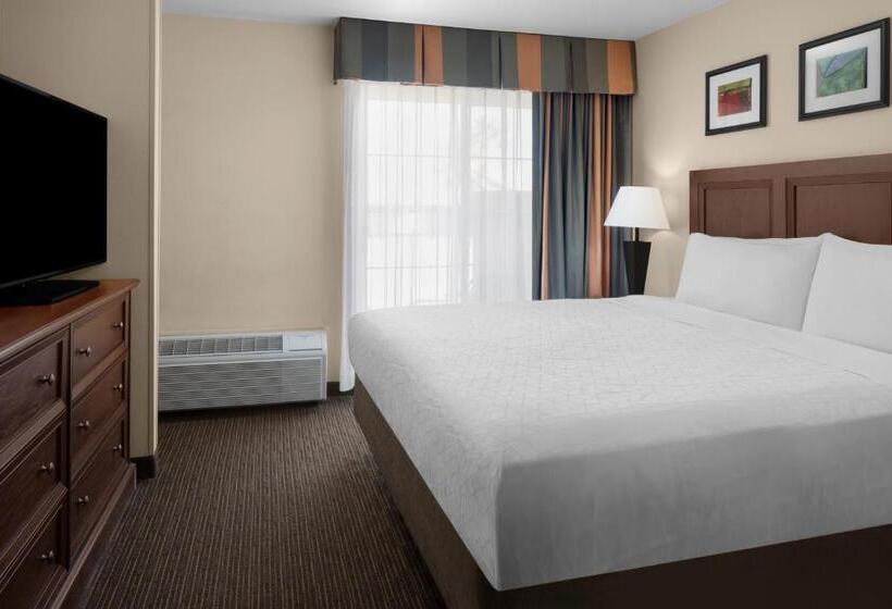 带大床的套房, Holiday Inn Express Hotel & Suites Scottsdale   Old Town, An Ihg