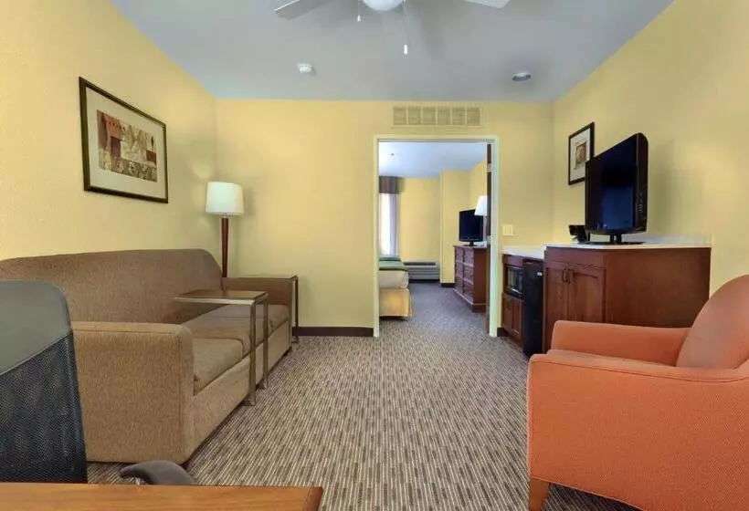 سوییت با چشم‌انداز استخر, Holiday Inn Express Hotel & Suites Scottsdale   Old Town, An Ihg