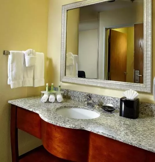 سوییت با چشم‌انداز استخر, Holiday Inn Express Hotel & Suites Scottsdale   Old Town, An Ihg