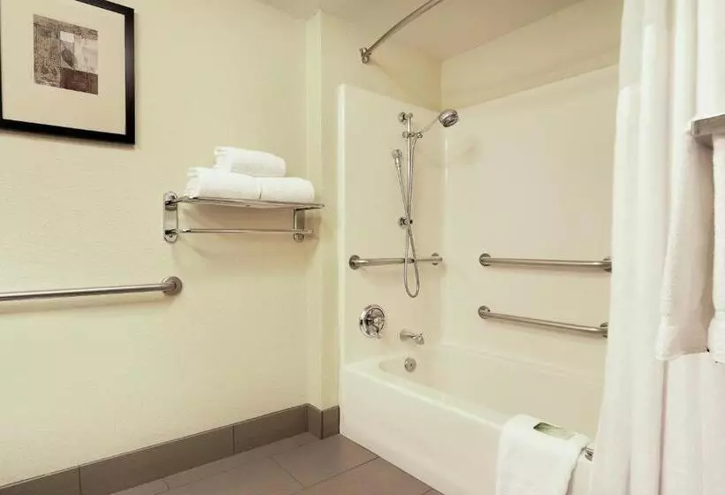 اتاق استاندارد برای معلولان, Holiday Inn Express Hotel & Suites Scottsdale   Old Town, An Ihg