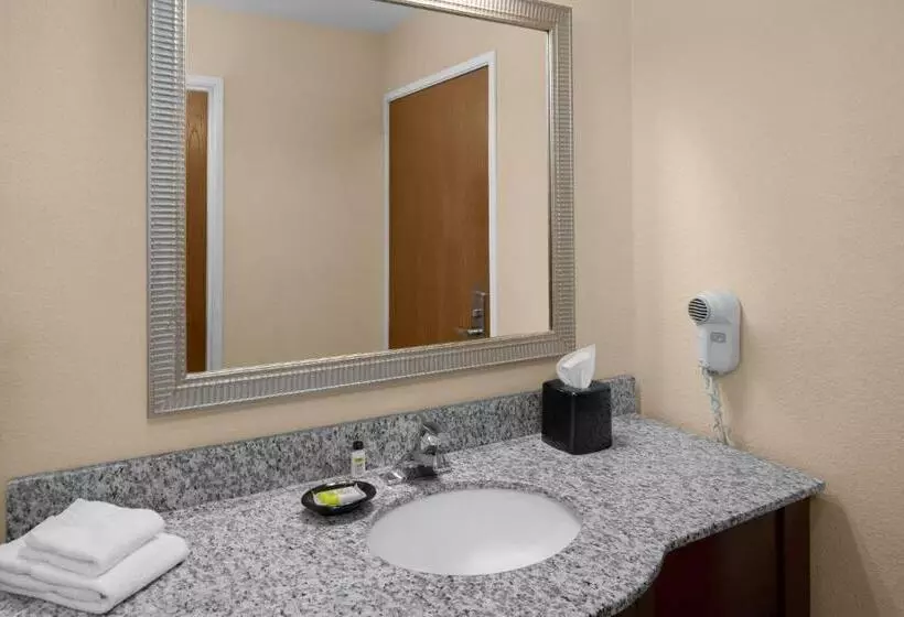 اتاق استاندارد برای معلولان, Holiday Inn Express Hotel & Suites Scottsdale   Old Town, An Ihg