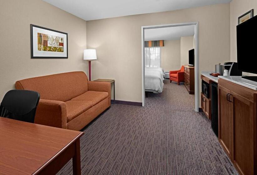 장애인을 위한 스탠다드 룸, Holiday Inn Express Hotel & Suites Scottsdale   Old Town, An Ihg
