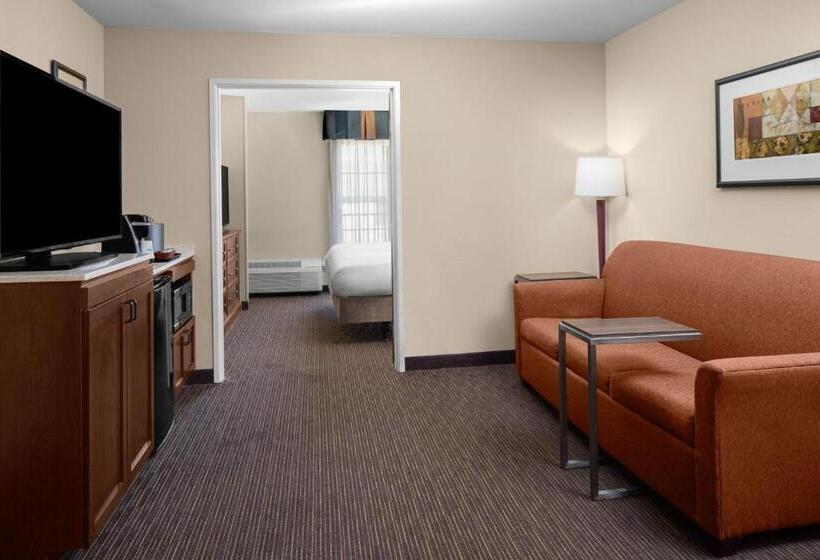 발코니가 있는 스위트, Holiday Inn Express Hotel & Suites Scottsdale   Old Town, An Ihg