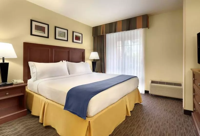 سوییت, Holiday Inn Express Hotel & Suites Scottsdale   Old Town, An Ihg
