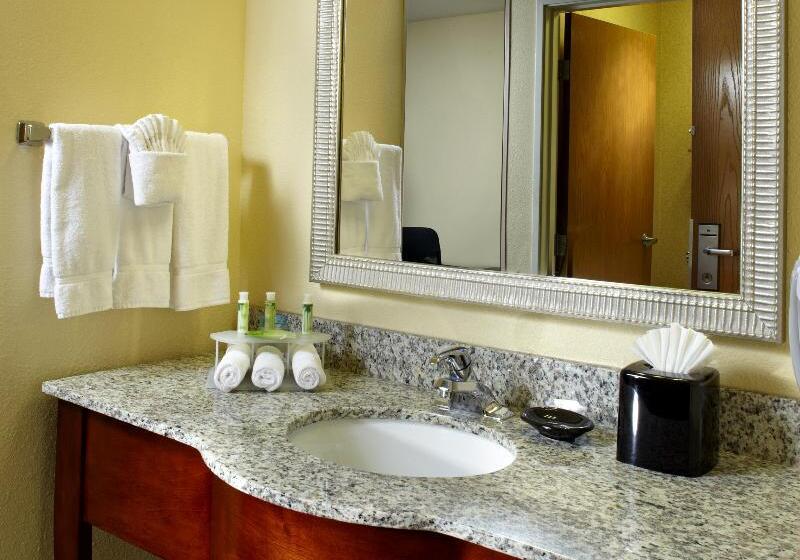 带大床的套房, Holiday Inn Express Hotel & Suites Scottsdale   Old Town, An Ihg