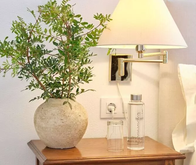 اتاق استاندارد, La Moraleja The Quiet Hotel   Adults Only