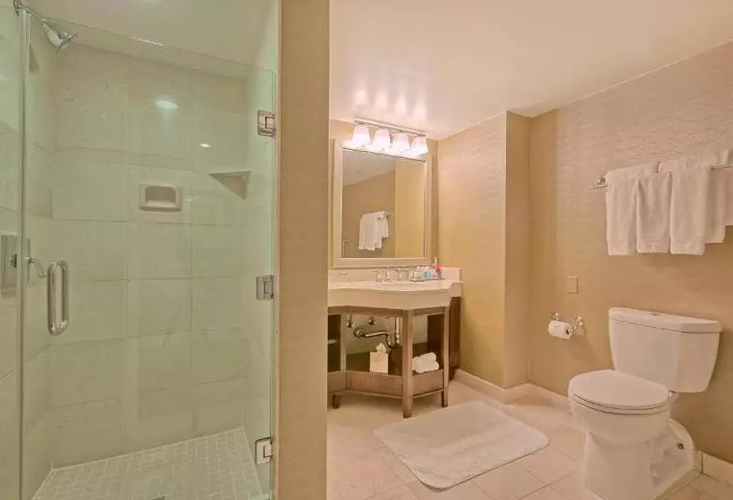 اتاق لوکس, Omni Los Angeles