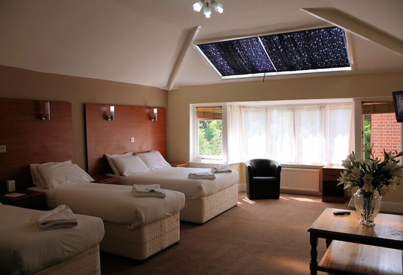 家庭间, The Edgbaston Palace