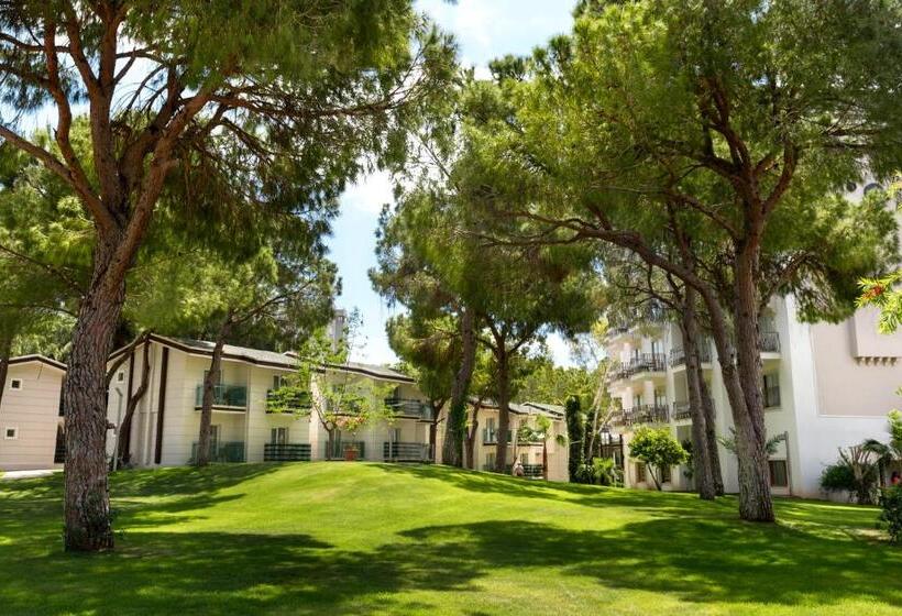 스탠다드 룸, Tui Magic Life Masmavi