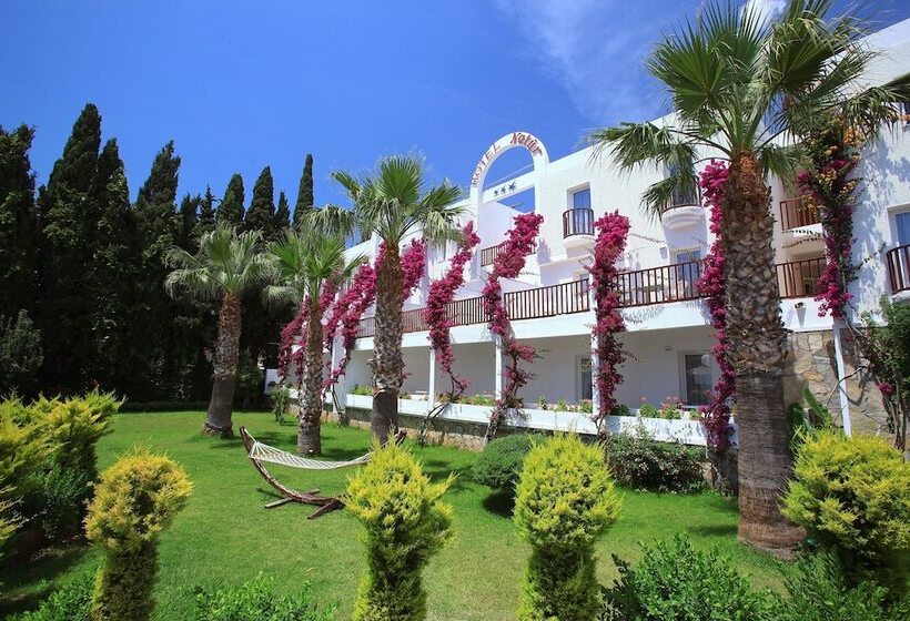 スタンダードルーム, Natur Garden