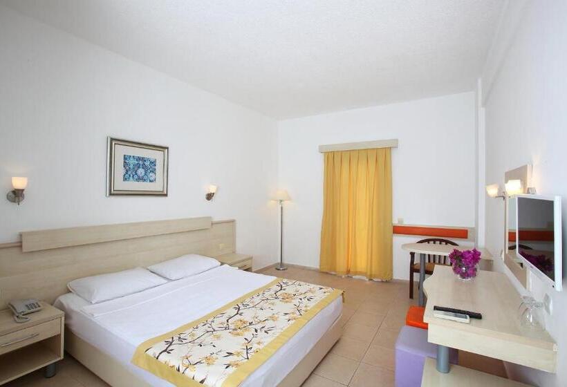 スタンダードルーム, Natur Garden