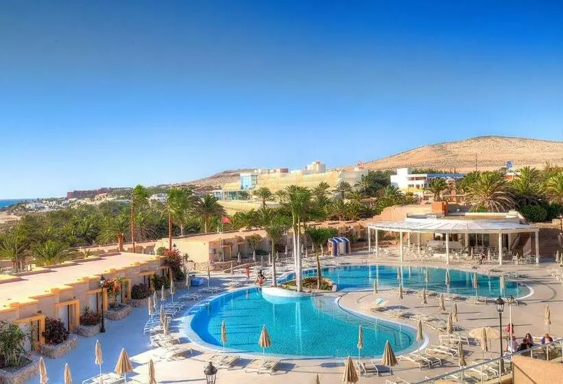 اتاق استاندارد, Sbh Monica Beach Resort