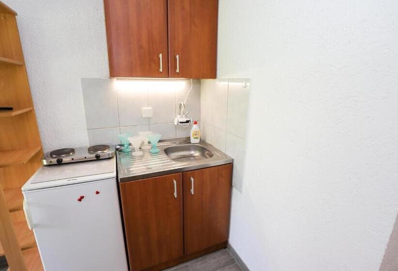 استودیوی استاندارد, Guest House Topla