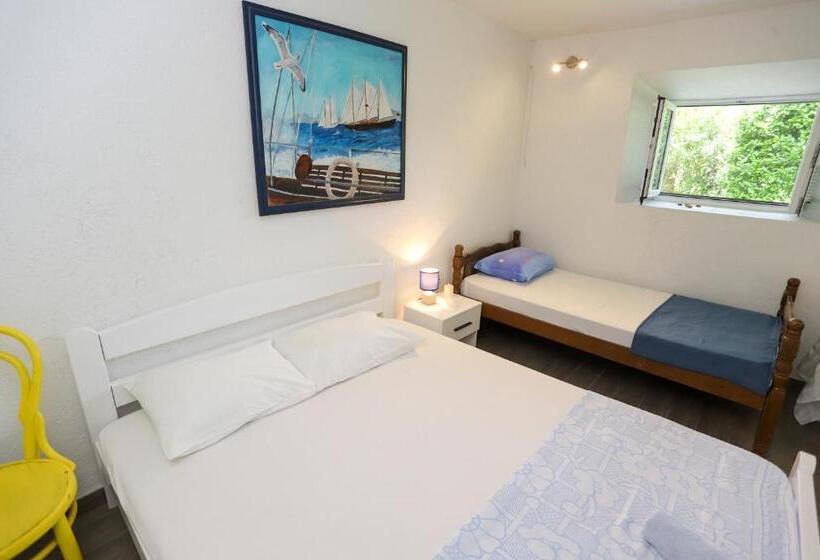 استودیوی استاندارد, Guest House Topla