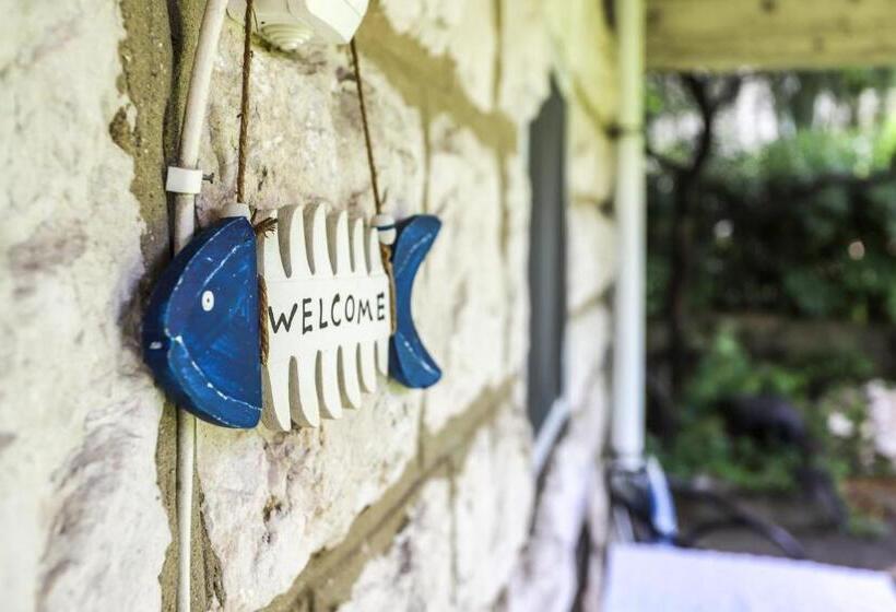 استودیوی استاندارد, Guest House Topla